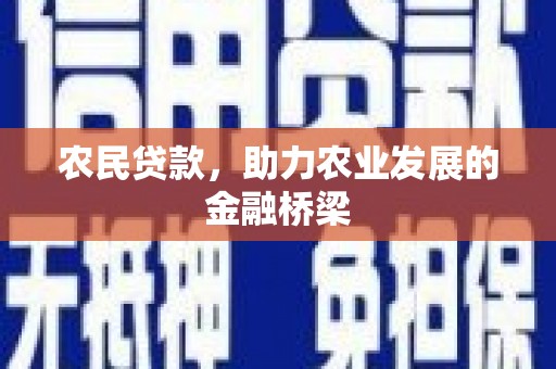 皇姑农民贷款，助力农业发展的金融桥梁