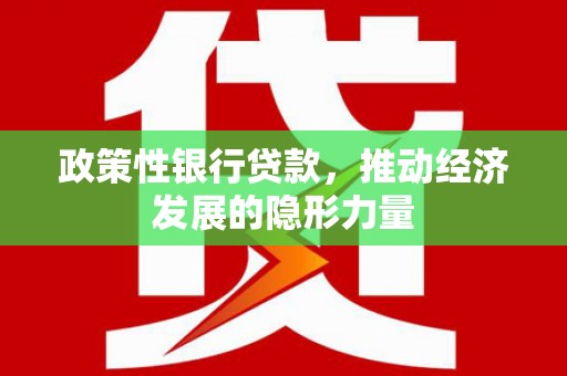皇姑政策性银行贷款，推动经济发展的隐形力量