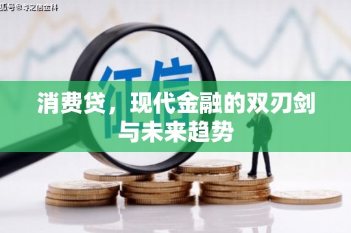 皇姑消费贷，现代金融的双刃剑与未来趋势