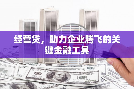 皇姑经营贷，助力企业腾飞的关键金融工具