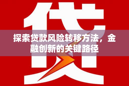 皇姑探索贷款风险转移方法，金融创新的关键路径