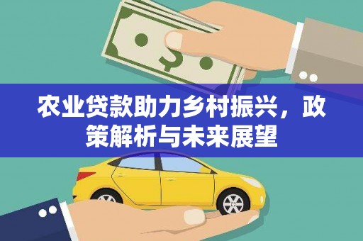 皇姑农业贷款助力乡村振兴，政策解析与未来展望