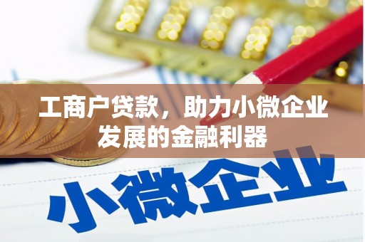 皇姑工商户贷款，助力小微企业发展的金融利器