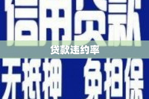 皇姑贷款违约率