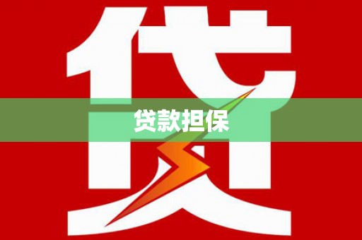 皇姑贷款担保