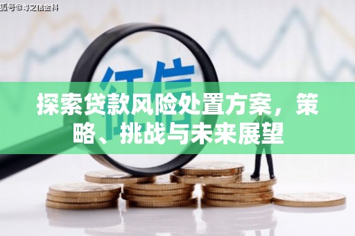 皇姑探索贷款风险处置方案，策略、挑战与未来展望