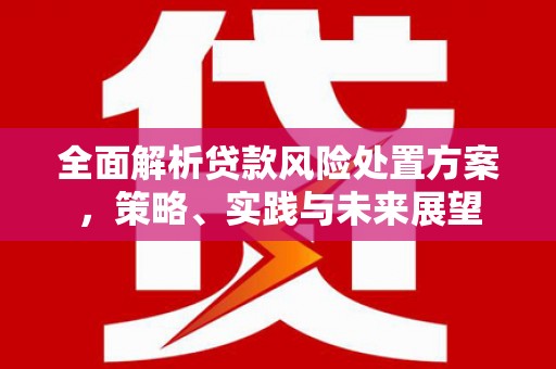 皇姑全面解析贷款风险处置方案，策略、实践与未来展望