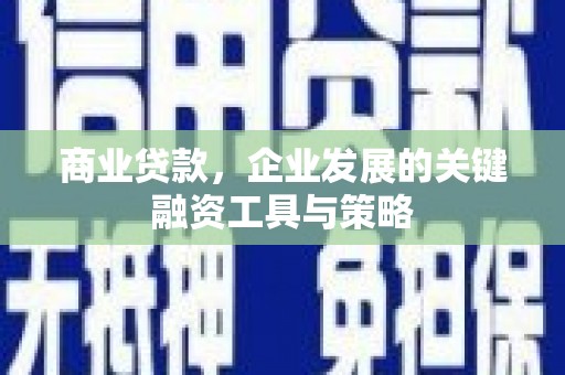 皇姑商业贷款，企业发展的关键融资工具与策略