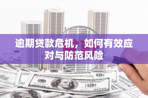 皇姑逾期贷款危机，如何有效应对与防范风险