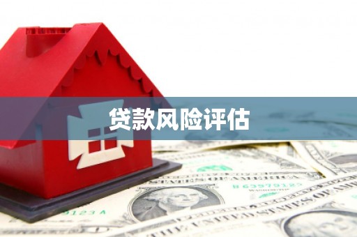 皇姑贷款风险评估