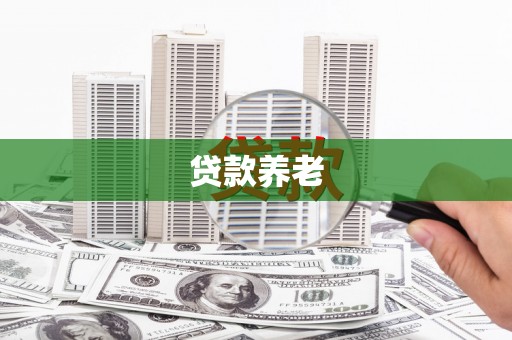 皇姑贷款养老