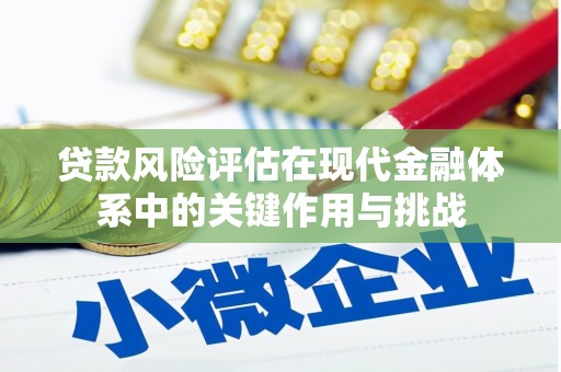 皇姑贷款风险评估在现代金融体系中的关键作用与挑战