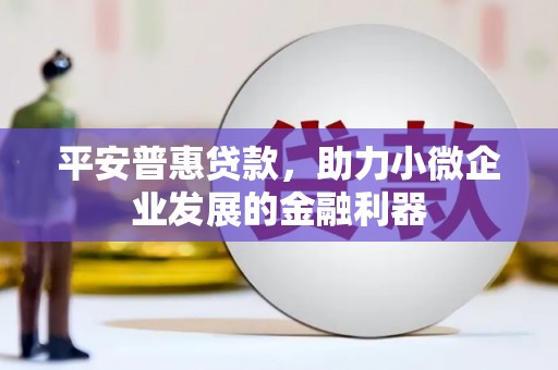皇姑平安普惠贷款，助力小微企业发展的金融利器