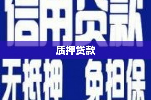 皇姑质押贷款