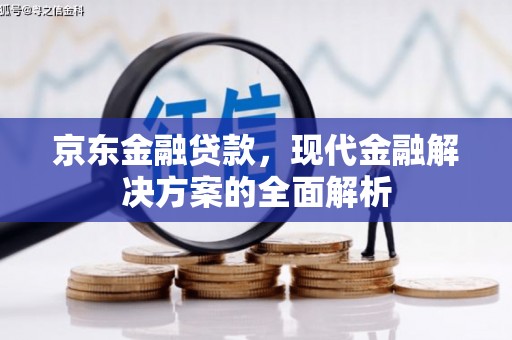 皇姑京东金融贷款，现代金融解决方案的全面解析
