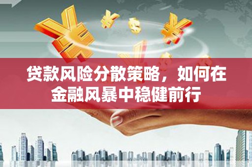 皇姑贷款风险分散策略，如何在金融风暴中稳健前行
