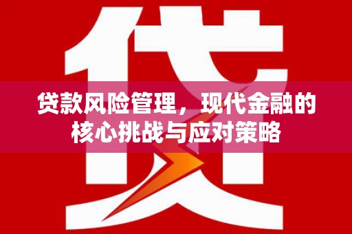 皇姑贷款风险管理，现代金融的核心挑战与应对策略