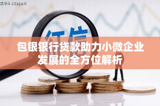 皇姑包银银行贷款助力小微企业发展的全方位解析