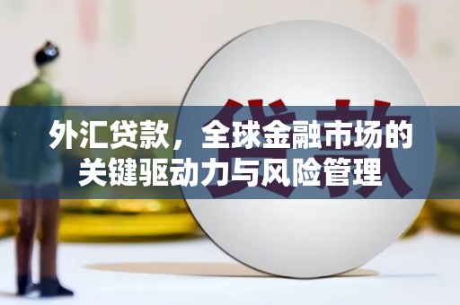 皇姑外汇贷款，全球金融市场的关键驱动力与风险管理