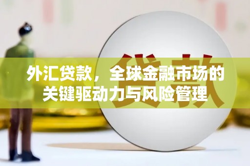 皇姑外汇贷款，全球金融市场的关键驱动力与风险管理