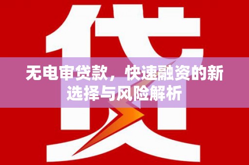 皇姑无电审贷款，快速融资的新选择与风险解析