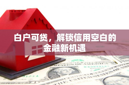 皇姑白户可贷，解锁信用空白的金融新机遇