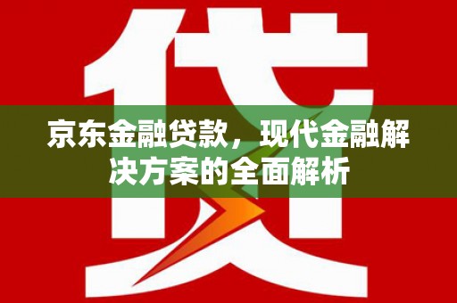 皇姑京东金融贷款，现代金融解决方案的全面解析
