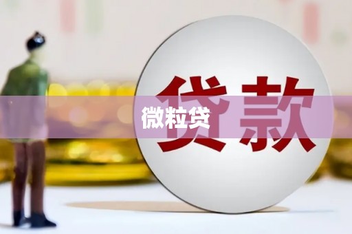 皇姑微粒贷