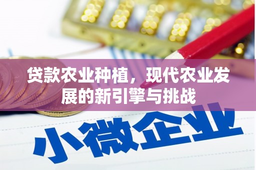 皇姑贷款农业种植，现代农业发展的新引擎与挑战