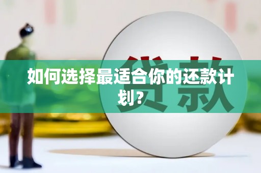 皇姑如何选择最适合你的还款计划？