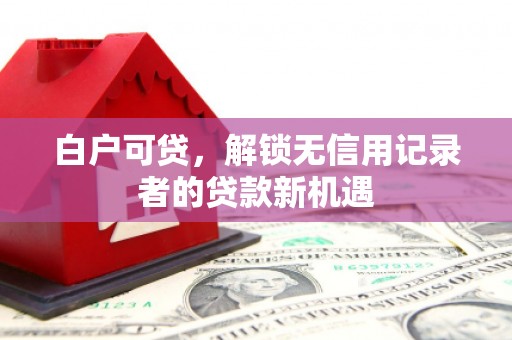 皇姑白户可贷，解锁无信用记录者的贷款新机遇