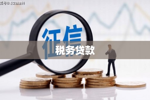 皇姑税务贷款