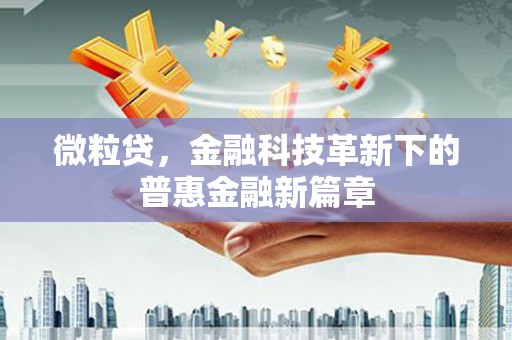 皇姑微粒贷，金融科技革新下的普惠金融新篇章