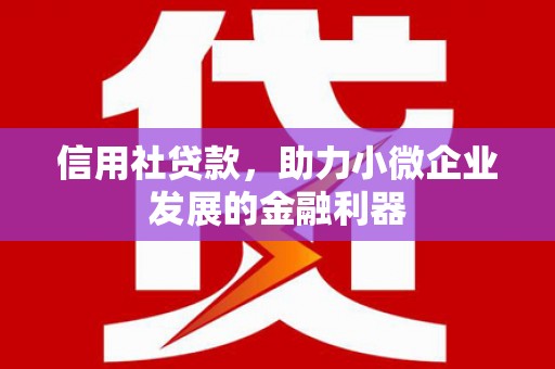 皇姑信用社贷款，助力小微企业发展的金融利器
