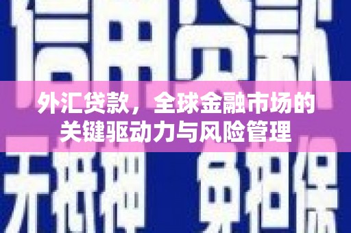 皇姑外汇贷款，全球金融市场的关键驱动力与风险管理