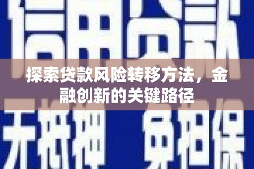 皇姑探索贷款风险转移方法，金融创新的关键路径