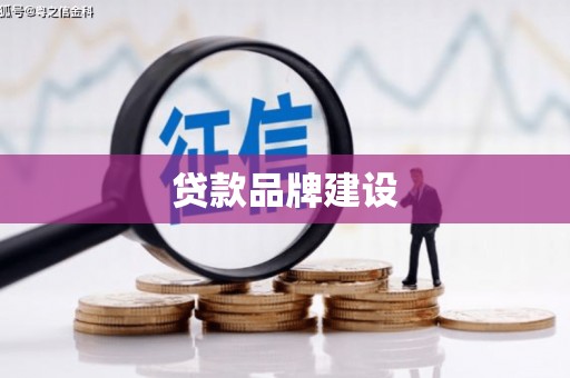 皇姑贷款品牌建设