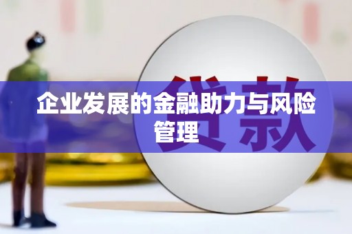 皇姑企业发展的金融助力与风险管理