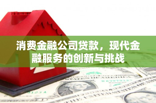 皇姑消费金融公司贷款，现代金融服务的创新与挑战