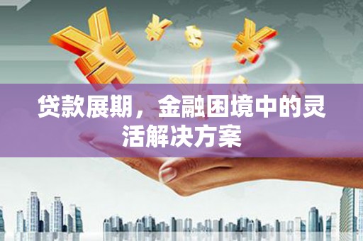 皇姑贷款展期，金融困境中的灵活解决方案