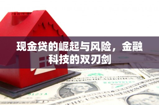 皇姑现金贷的崛起与风险，金融科技的双刃剑
