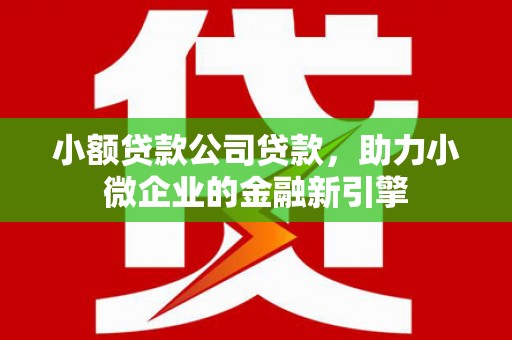 皇姑小额贷款公司贷款，助力小微企业的金融新引擎