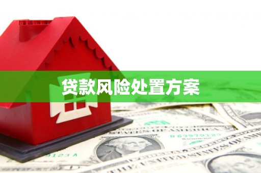 皇姑贷款风险处置方案