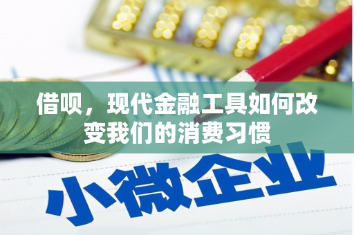 皇姑借呗，现代金融工具如何改变我们的消费习惯