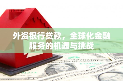 皇姑外资银行贷款，全球化金融服务的机遇与挑战