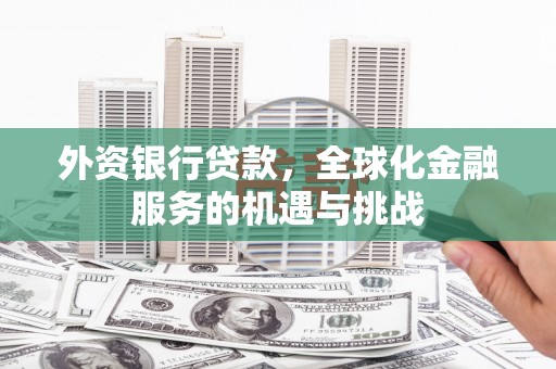 皇姑外资银行贷款，全球化金融服务的机遇与挑战