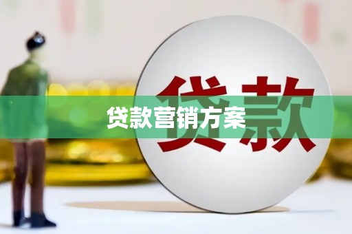 皇姑贷款营销方案