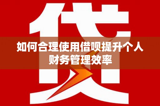 皇姑如何合理使用借呗提升个人财务管理效率
