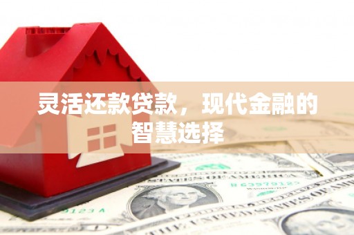 皇姑灵活还款贷款，现代金融的智慧选择