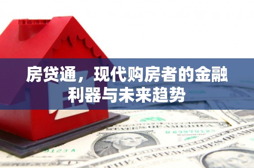 皇姑房贷通，现代购房者的金融利器与未来趋势